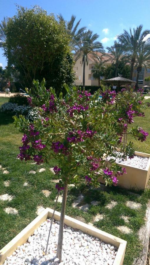 Jávea Golden Beach II מראה חיצוני תמונה